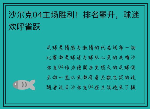沙尔克04主场胜利！排名攀升，球迷欢呼雀跃